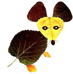 【招募令】小記者第六場(chǎng)主題活動(dòng)“遇見秋天”系列之“樹葉粘貼”等你挑戰(zhàn)！