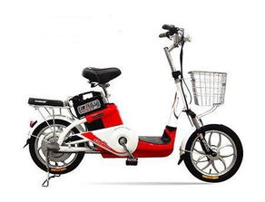 供應電動車圖片 高清圖 細節(jié)圖 雞澤縣張磊電動車門市 