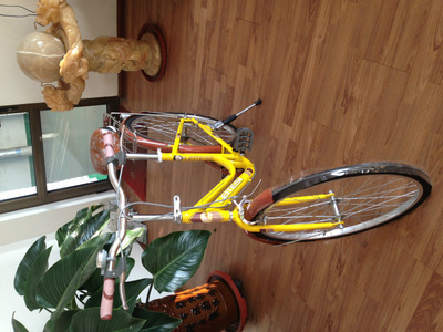 【天津市濮琪自行車】價(jià)格,廠家,圖片,自行車,天津市濮琪自行車-