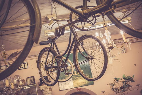 電動自行車 點綴街頭的靚麗風景線